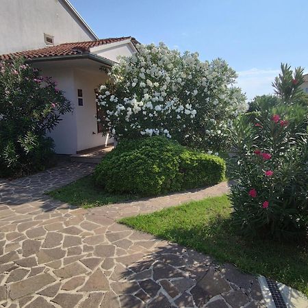 Apartments Medusa Ровинь Экстерьер фото
